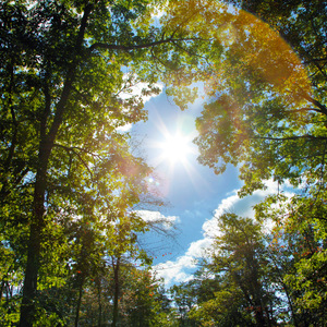 妈妈美白蚌埠的原文
